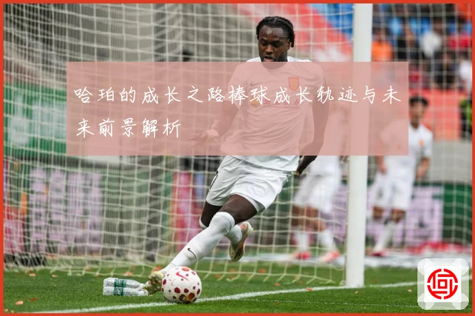 哈珀的成长之路棒球成长轨迹与未来前景解析