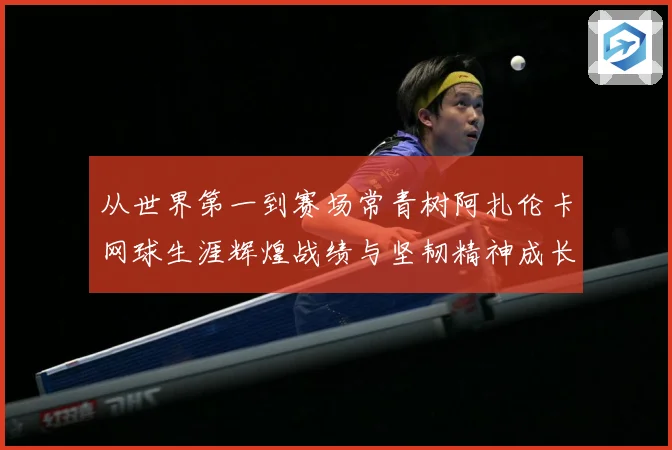 从世界第一到赛场常青树阿扎伦卡网球生涯辉煌战绩与坚韧精神成长历程全解析