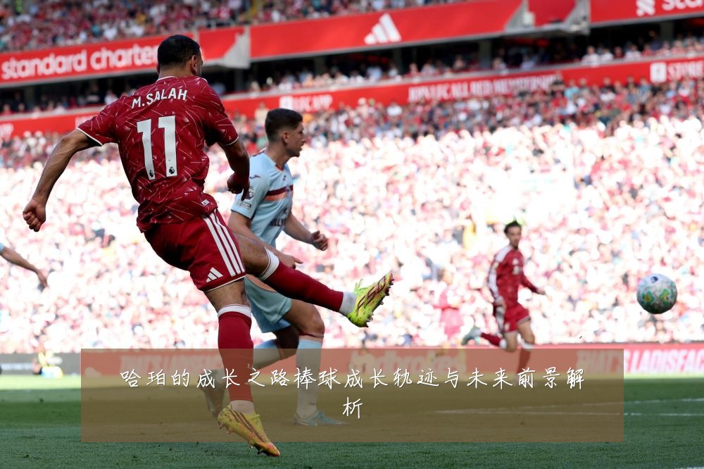 哈珀的成长之路棒球成长轨迹与未来前景解析