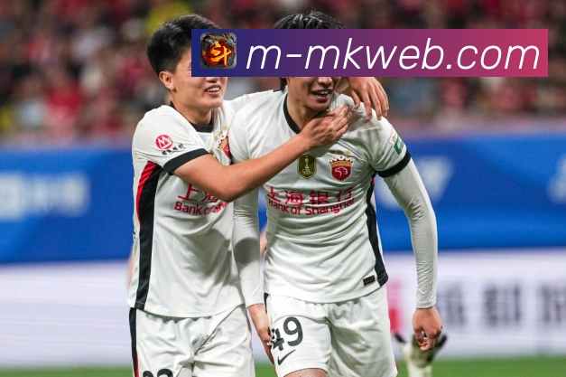 MK体育使用指南